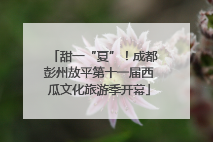 甜一“夏”！成都彭州敖平第十一届西瓜文化旅游季开幕