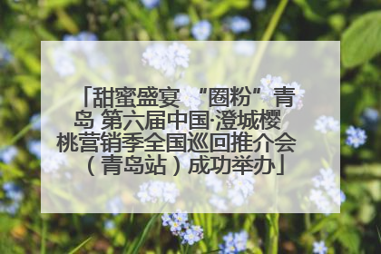 甜蜜盛宴 “圈粉”青岛 第六届中国·澄城樱桃营销季全国巡回推介会（青岛站）成功举办
