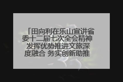 田向利在乐山宣讲省委十二届七次全会精神 发挥优势推进文旅深度融合 务实创新助推高质量发展