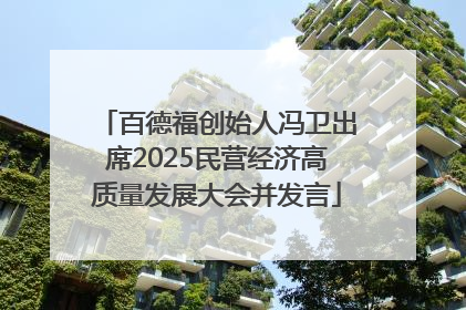 百德福创始人冯卫出席2025民营经济高质量发展大会并发言