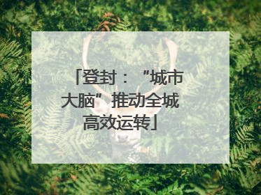 登封：“城市大脑”推动全城高效运转