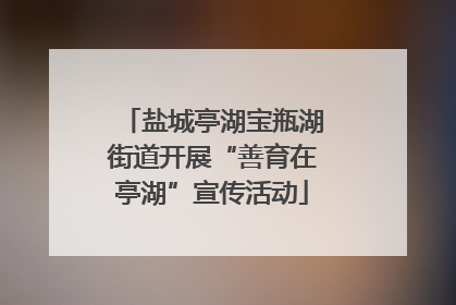 盐城亭湖宝瓶湖街道开展“善育在亭湖”宣传活动