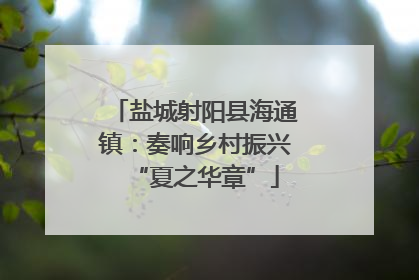 盐城射阳县海通镇：奏响乡村振兴“夏之华章”
