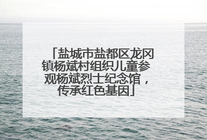 盐城市盐都区龙冈镇杨斌村组织儿童参观杨斌烈士纪念馆，传承红色基因