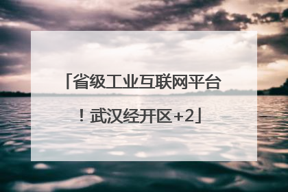 省级工业互联网平台！武汉经开区+2