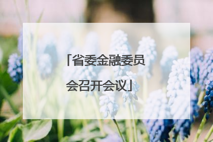 省委金融委员会召开会议