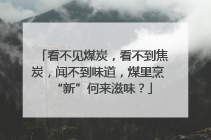 看不见煤炭，看不到焦炭，闻不到味道，煤里烹“新”何来滋味？