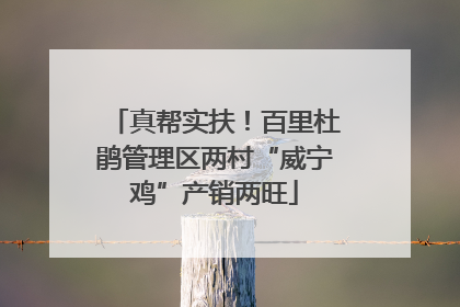 真帮实扶！百里杜鹃管理区两村“威宁鸡”产销两旺