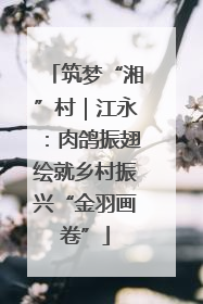 筑梦“湘”村｜江永：肉鸽振翅绘就乡村振兴“金羽画卷”