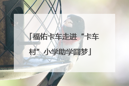 福佑卡车走进“卡车村”小学助学圆梦