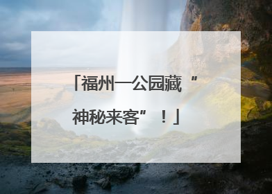 福州一公园藏“神秘来客”！