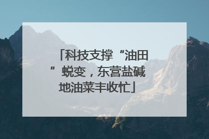 科技支撑“油田”蜕变，东营盐碱地油菜丰收忙