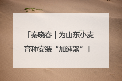 秦晓春｜为山东小麦育种安装“加速器”