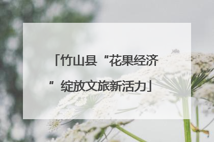 竹山县“花果经济”绽放文旅新活力