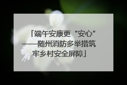 端午安康更“安心”——随州消防多举措筑牢乡村安全屏障