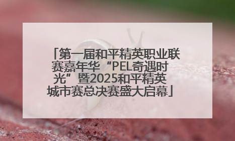 第一届和平精英职业联赛嘉年华“PEL奇遇时光”暨2025和平精英城市赛总决赛盛大启幕