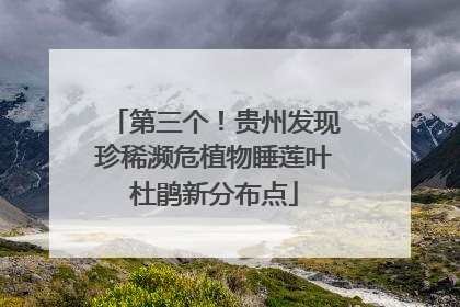第三个！贵州发现珍稀濒危植物睡莲叶杜鹃新分布点