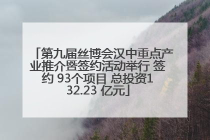 第九届丝博会汉中重点产业推介暨签约活动举行 签约 93个项目 总投资132.23 亿元