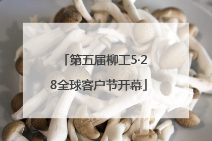 第五届柳工5·28全球客户节开幕