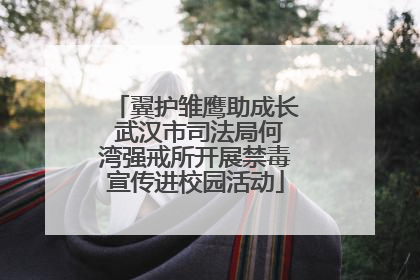 翼护雏鹰助成长 武汉市司法局何湾强戒所开展禁毒宣传进校园活动