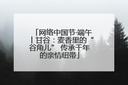 网络中国节·端午丨甘谷：麦香里的“谷角儿” 传承千年的亲情纽带