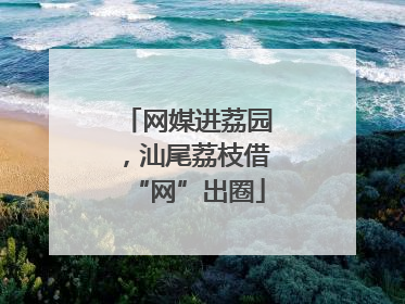 网媒进荔园，汕尾荔枝借“网”出圈