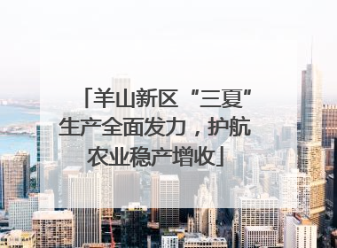 羊山新区“三夏”生产全面发力，护航农业稳产增收