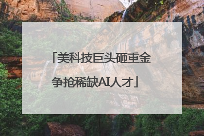 美科技巨头砸重金争抢稀缺AI人才