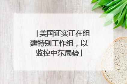 美国证实正在组建特别工作组，以监控中东局势