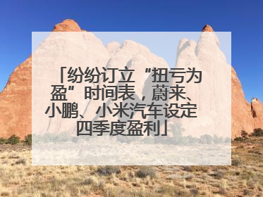 纷纷订立“扭亏为盈”时间表，蔚来、小鹏、小米汽车设定四季度盈利