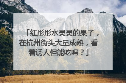 红彤彤水灵灵的果子，在杭州街头大量成熟，看着诱人但能吃吗？