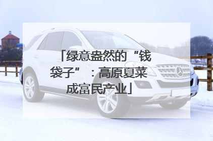 绿意盎然的“钱袋子”：高原夏菜成富民产业