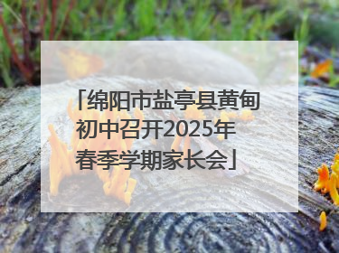 绵阳市盐亭县黄甸初中召开2025年春季学期家长会