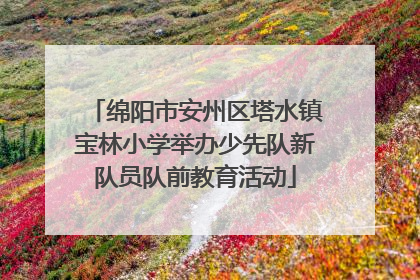 绵阳市安州区塔水镇宝林小学举办少先队新队员队前教育活动