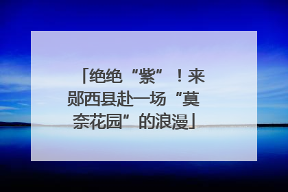 绝绝“紫”！来郧西县赴一场“莫奈花园”的浪漫