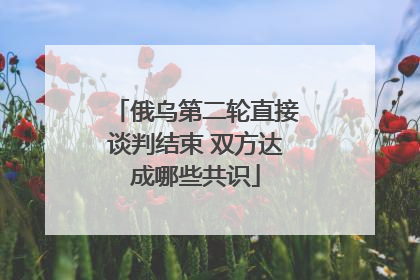 俄乌第二轮直接谈判结束 双方达成哪些共识