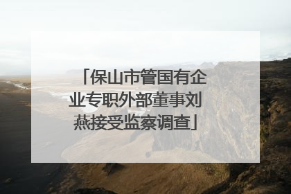 保山市管国有企业专职外部董事刘燕接受监察调查