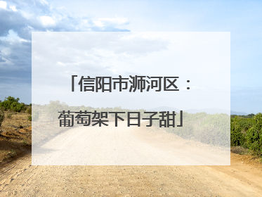 信阳市浉河区：葡萄架下日子甜