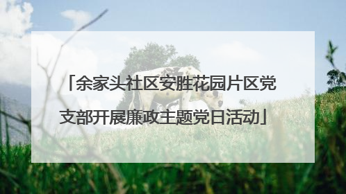 余家头社区安胜花园片区党支部开展廉政主题党日活动