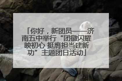 你好，新团员——济南五中举行“团徽闪耀映初心 挺膺担当建新功”主题团日活动