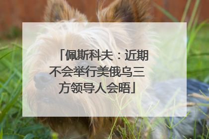 佩斯科夫：近期不会举行美俄乌三方领导人会晤