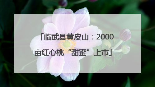 临武县黄皮山：2000亩红心桃“甜蜜”上市