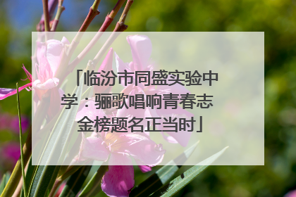 临汾市同盛实验中学：骊歌唱响青春志 金榜题名正当时