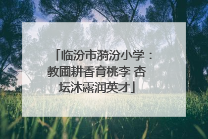 临汾市漪汾小学：教圃耕香育桃李 杏坛沐露润英才