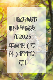 临沂城市职业学院发布2025年高职（专科）招生简章