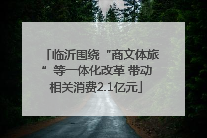 临沂围绕“商文体旅”等一体化改革 带动相关消费2.1亿元