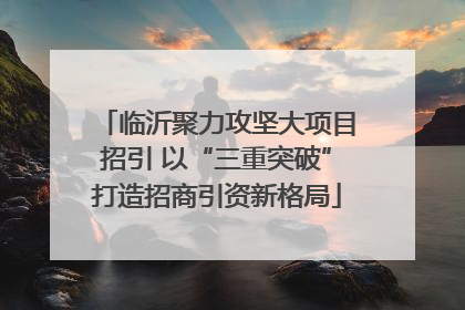 临沂聚力攻坚大项目招引 以“三重突破”打造招商引资新格局