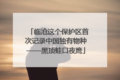 临沧这个保护区首次记录中国独有物种——黑顶蛙口夜鹰