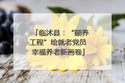 临沭县：“颐养工程”绘就老党员幸福养老新画卷