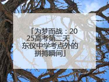 为梦而战：2025高考第二天，东仪中学考点外的拼搏瞬间